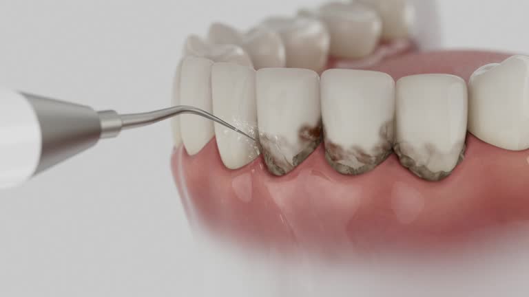 Reliable Dental contractor in Wingate, NC by Dentist Open Now